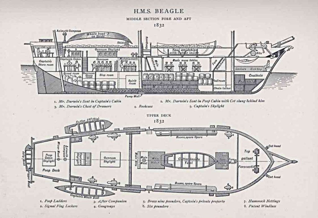 "El Navío de las Descubiertas Naturales: HMS Beagle